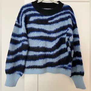 Blue zebra Anthropologie sweater